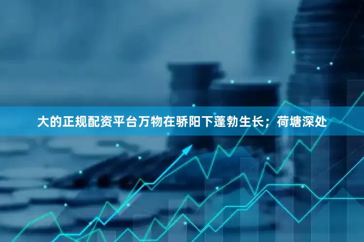 大的正规配资平台万物在骄阳下蓬勃生长；荷塘深处