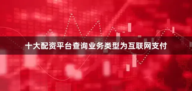 十大配资平台查询业务类型为互联网支付