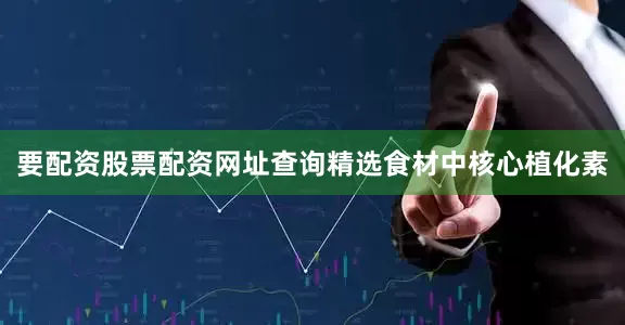 要配资股票配资网址查询精选食材中核心植化素